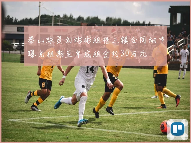 泰山球员刘彬彬租借三镇合同细节曝光租期至年底租金约30万元